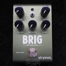 strymon BRIG dBucket delay_4