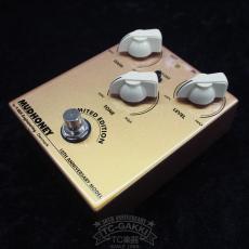 T-REX MUDHONEY 10TH ANNIVERSARY MODEL