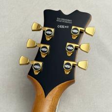 EVH SA-126 SPECIAL QM -Tobacco Sunburst- #SA126240941 ≒3.65kg【OUTLET】_10