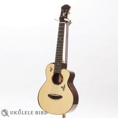 aNueNue aNN-UT200HB