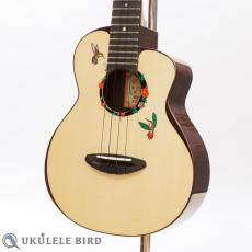 aNueNue aNN-UT200HB_2