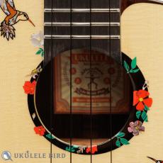 aNueNue aNN-UT200HB_4
