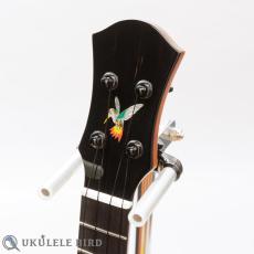 aNueNue aNN-UT200HB_6