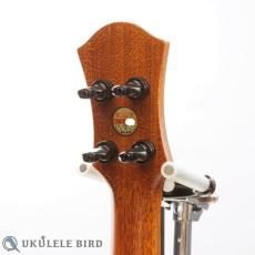aNueNue aNN-UT200HB_7