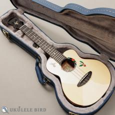 aNueNue aNN-UT200HB_13