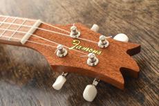 Famous Soprano FS-2PG with Pineapple_6