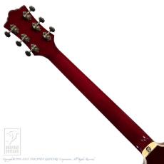 Guild STARFIRE I DC / CHR_7