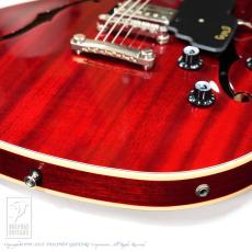 Guild STARFIRE I DC / CHR_15