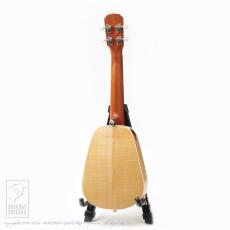 Isana Sycamore Cat_4