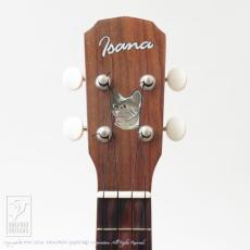 Isana Sycamore Cat_5