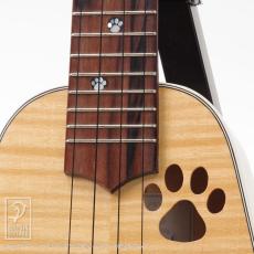 Isana Sycamore Cat_6