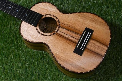 Kamaka HF-2LD ConcertLongNeck【USED/2019年】