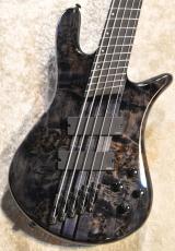 Spector NS Dimension MS 5 Gloss EE -TBK-【#W250010】【4.24kg】