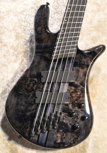 Spector NS Dimension MS 5 Gloss EE -TBK-【#W250010】【4.24kg】