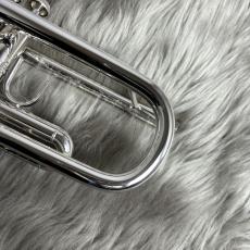 Bach 180ML37SP イエローブラス・シルバー仕上げ B♭ トランペット 【37ベル】_10