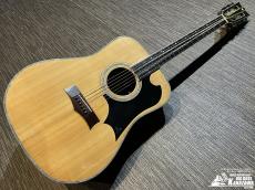K.Yairi YW600G【希少モデル! 鳴ります!】