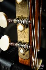 Jose Ramirez [ホセ・ラミレス] Elite 650mm / 2010_8