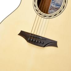 Bromo Guitars BAA2CE_4