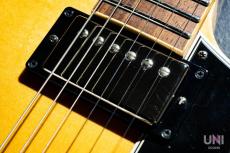 Gibson Historic Collection '59 ES-335  / 2009_4