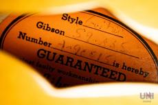 Gibson Historic Collection '59 ES-335  / 2009_6