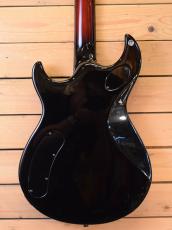 YAMAHA YSG-II/WR_4