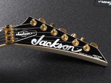 Jackson Custom Shop Randy Rhoads RR1 Snow White w/Black Pin Stripe_3