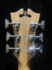 D'Angelico Premier Bedford_6