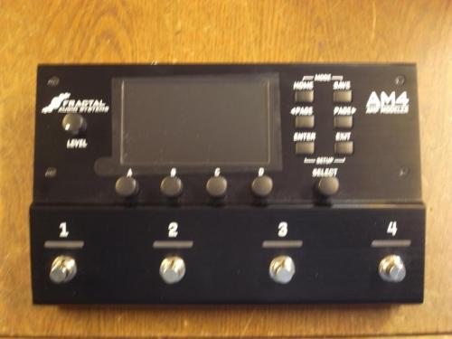 Fractal Audio Systems AM4