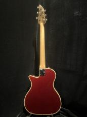 A&F Rock It Tone Custom_5