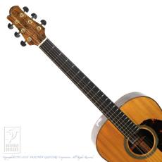 Sugi Craft MODEL-D =Luthier's Re-Certification=_6