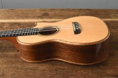 Kerry Char Tenor Custom_2