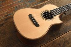 Kerry Char Tenor Custom_3