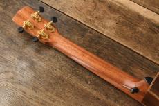 Kerry Char Tenor Custom_6