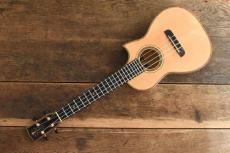 Kerry Char Tenor Custom_9