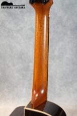 aNueNue Black Whale Tenor Ukulele (2023) ピックアップなしのBlack Whaleの中古入荷しました!_9