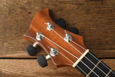 Shanti Guitars Tenor Custom_6