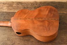 Shanti Guitars Tenor Custom_8