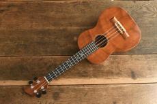 Shanti Guitars Tenor Custom_9