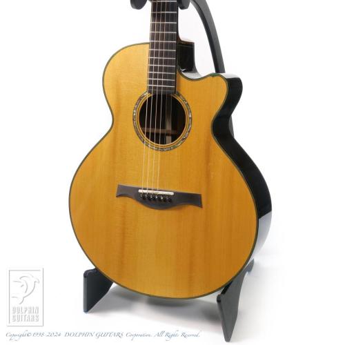 WATER ROAD GUITARS Arte