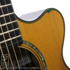 WATER ROAD GUITARS Arte_8