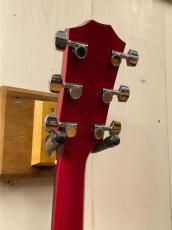 Taylor 2019年製 214ce-Red DLX 【無金利分割OK】【送料込み】_8