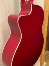 Taylor 2019年製 214ce-Red DLX 【無金利分割OK】【送料込み】_10