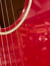 Taylor 2019年製 214ce-Red DLX 【無金利分割OK】【送料込み】_11