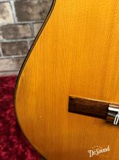 ロビン・グリーン Robin Green 【GW版お茶の水大楽器祭 目玉品】 1980年製_9