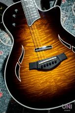 Taylor T5z Pro / 2014