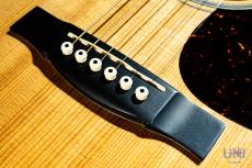 Martin GPCPA4 Rosewood / 2015_5