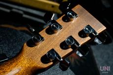 Martin GPCPA4 Rosewood / 2015_8