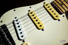 James Tyler USA Classic SSS Gold_6