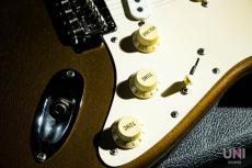 James Tyler USA Classic SSS Gold_7