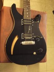 Paul Reed Smith [PRS] SE CUSTOM22 セミホロウ